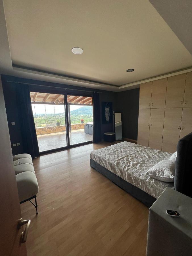 Apartment Agnadio Mykalis *