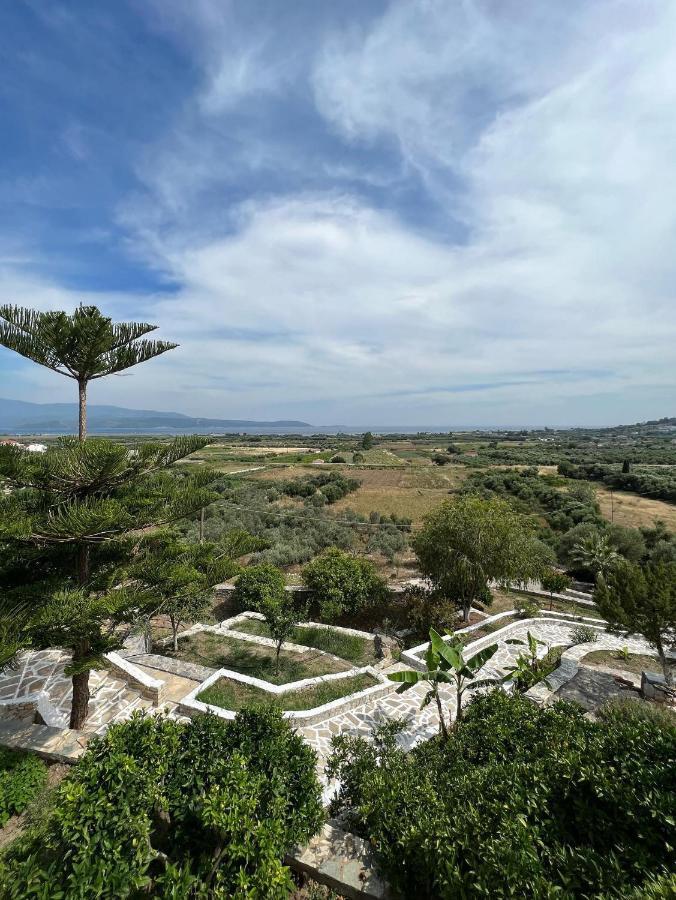 Apartment Agnadio Mykalis *
